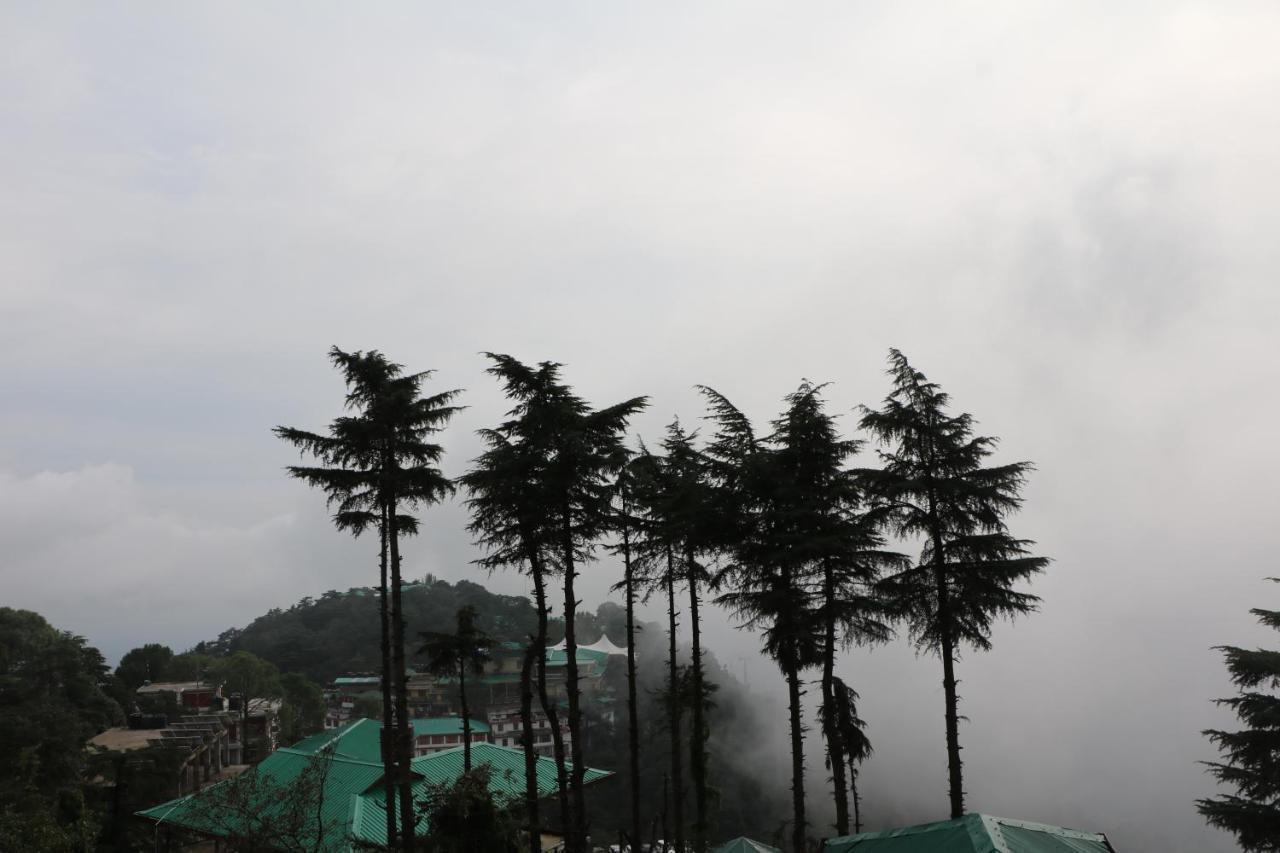 Pema Thang Hotel Kangra Exterior foto